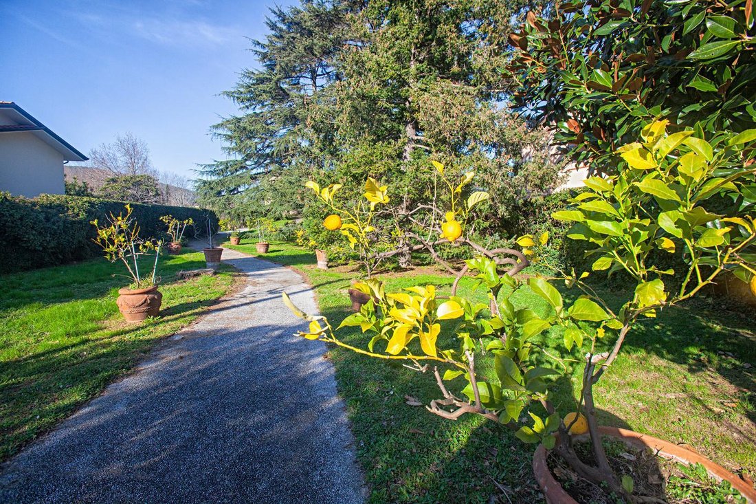 Villa in Pontasserchio, San Giuliano Terme, Tuscany 2 - 13866549