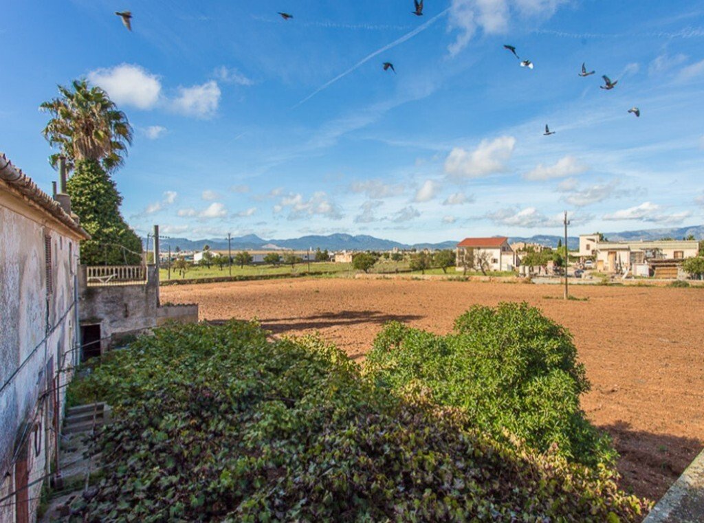 Farm Ranch in Marratxi, Balearic Islands, Spain 1 - 13865501