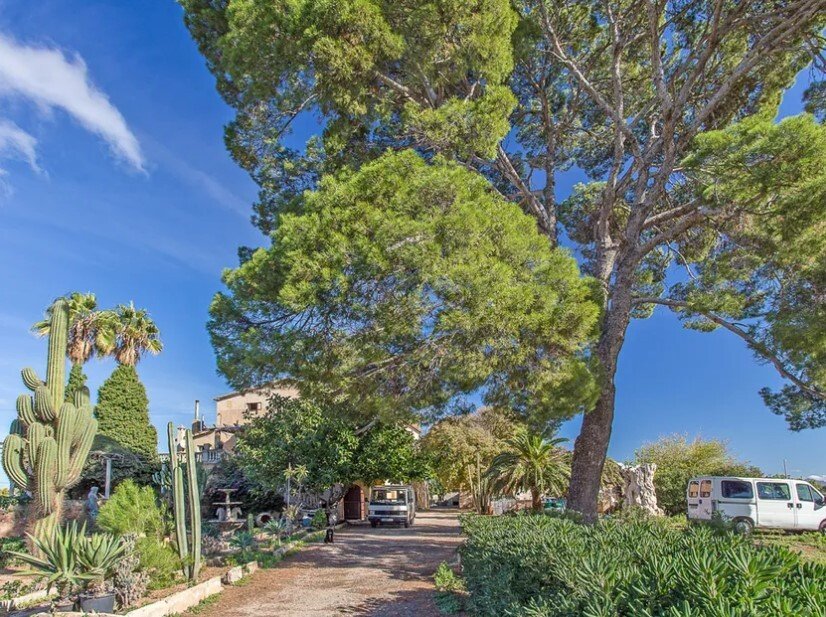 Farm Ranch in Marratxi, Balearic Islands, Spain 3 - 13865501
