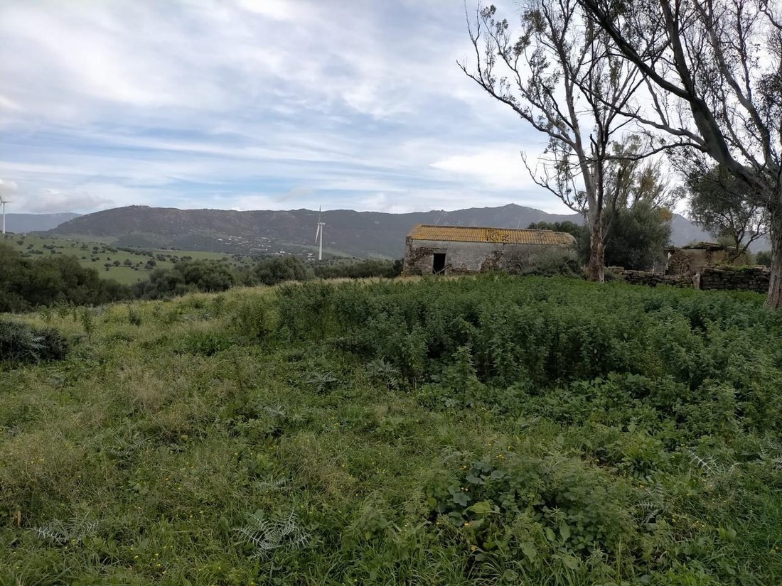 Country House in Ubrique, Andalusia, Spain 5 - 13873790