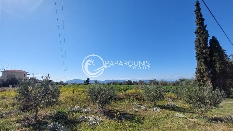 Land in Koinotita Thermisias, Ermioni, Greece 5 - 13874915