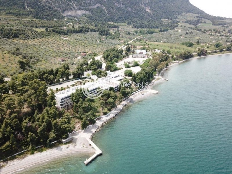 Koinotita Kainourgiou, Kamena Vourla, Greece 2 - 13874870