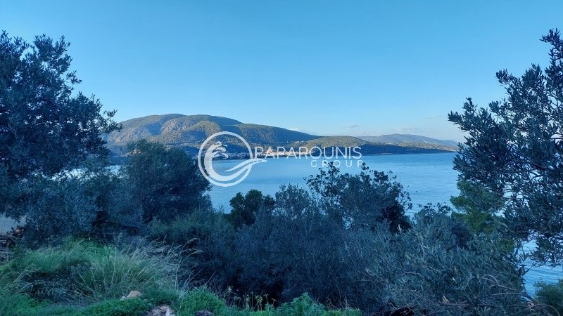 Land in Community of Ancient Epidavros, Epidavros, Greece 3 - 13874856