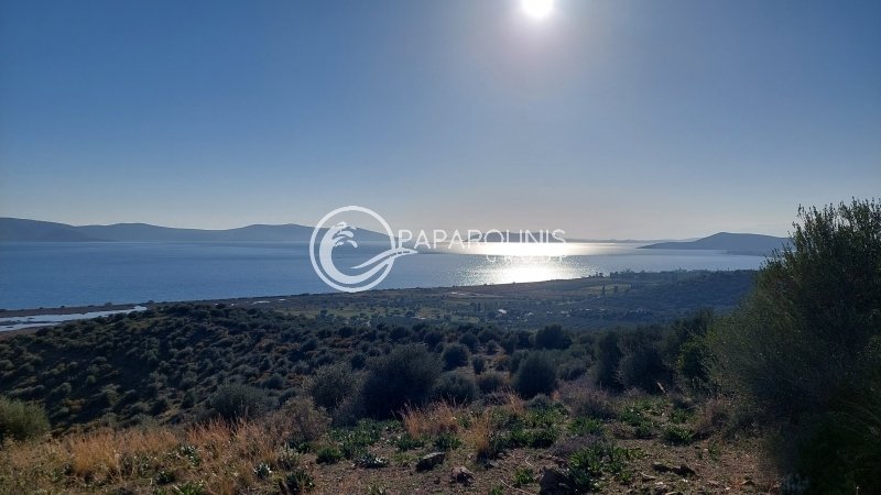 Land in Koinotita Thermisias, Ermioni, Greece 1 - 13874802