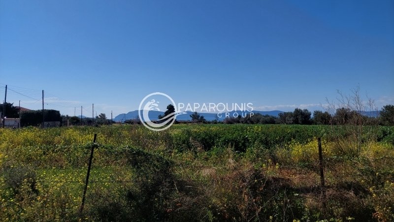 Land in Koinotita Thermisias, Ermioni, Greece 4 - 13874915