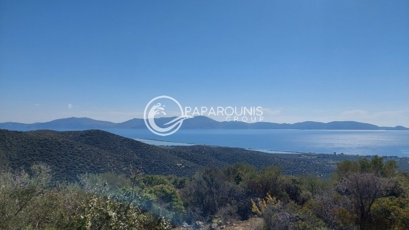 Land in Koinotita Thermisias, Ermioni, Greece 2 - 13874911