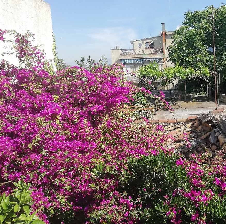 Land in 1st District of Athens, Athens, Greece 3 - 13880953