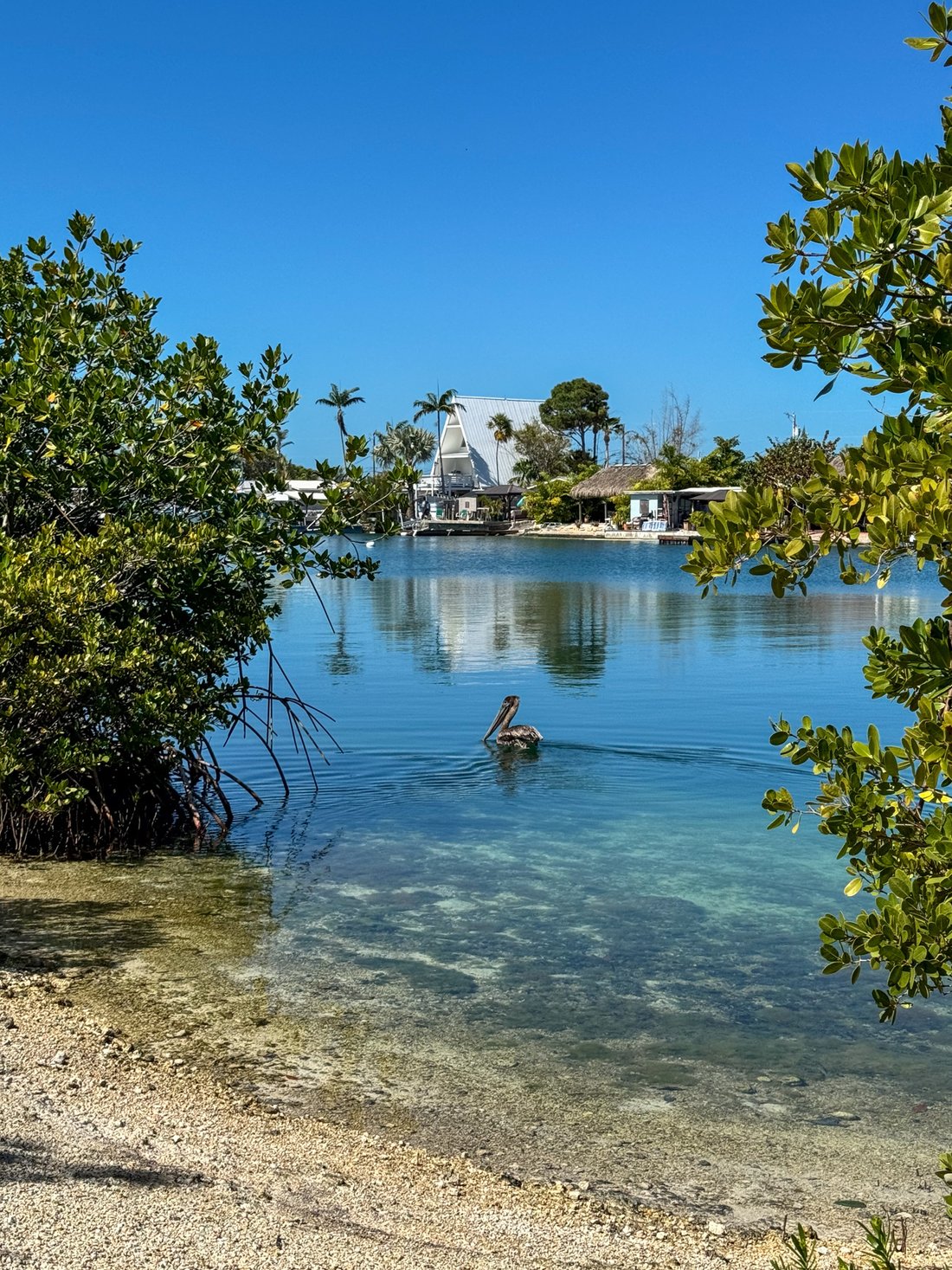 Land in Key West, Florida, United States 1 - 13881786