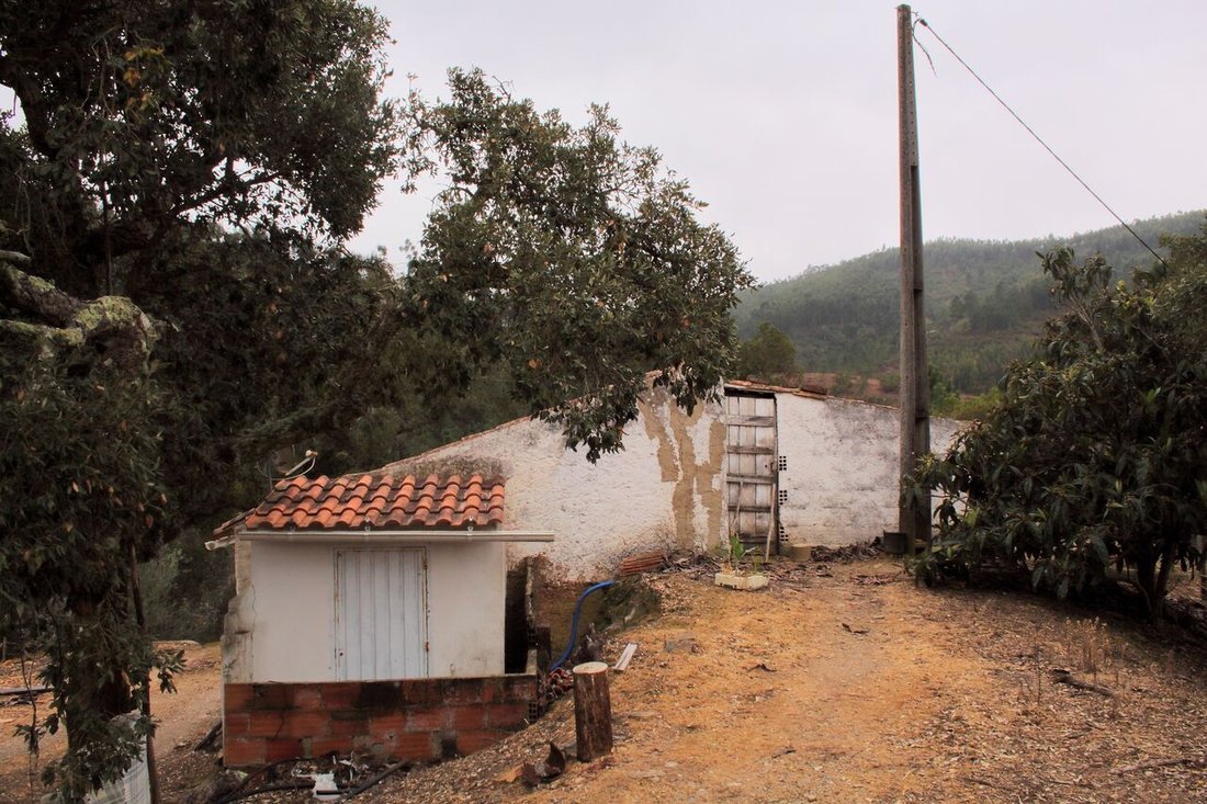 Farm Ranch in Monchique, Algarve, Portugal 5 - 13890379