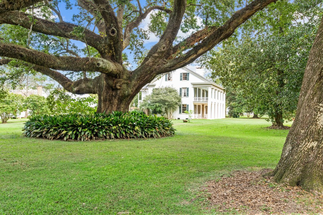 House in Washington, Louisiana, United States 3 - 13892230