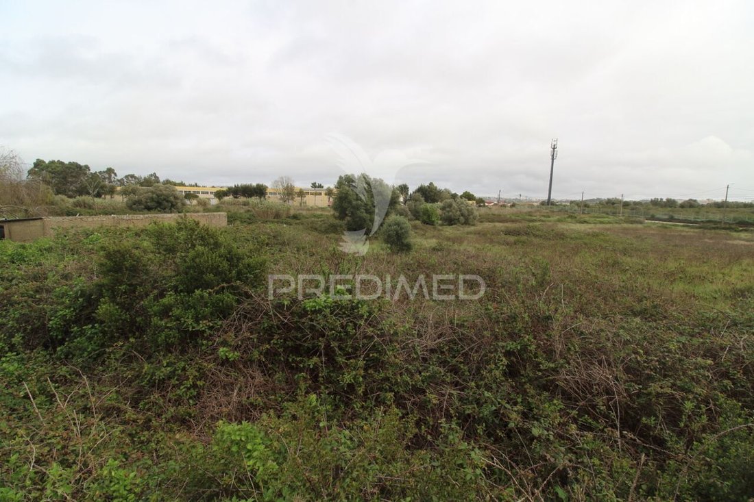 Land in Sintra, Lisbon, Portugal 5 - 13877769