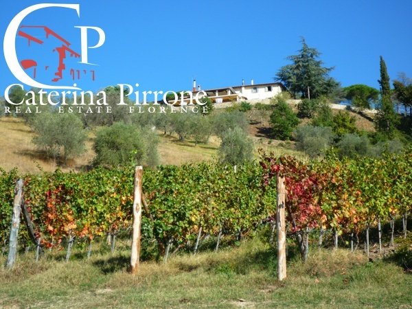 Autres à Dicomano, Toscane, Italie 2 - 13890445