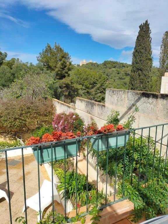 House in Palma, Balearic Islands, Spain 3 - 13870574