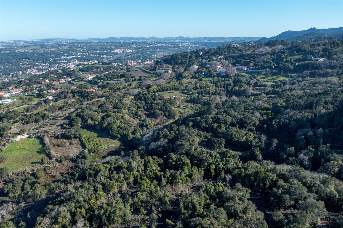 Land in Algueirao-Mem Martins, Lisbon, Portugal 4 - 13892431