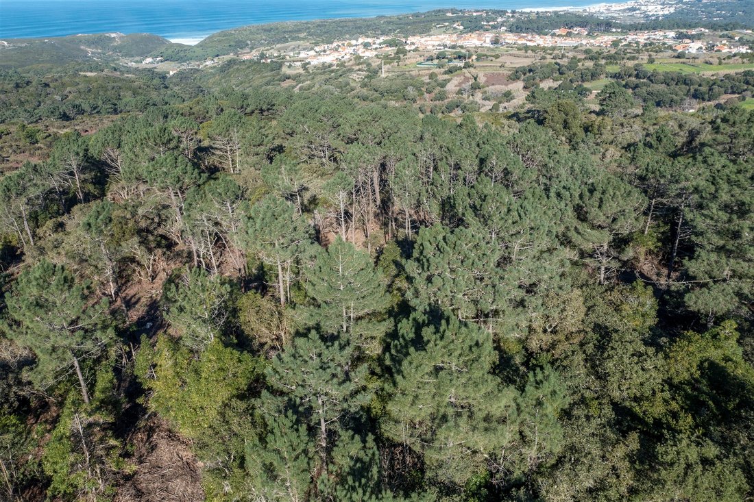 Land in Algueirao-Mem Martins, Lisbon, Portugal 3 - 13892431