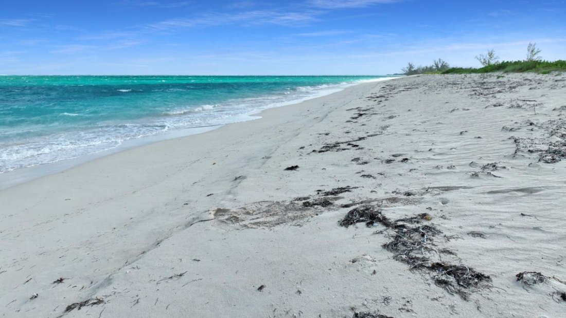 Land in Turks and Caicos Islands 4 - 13895306