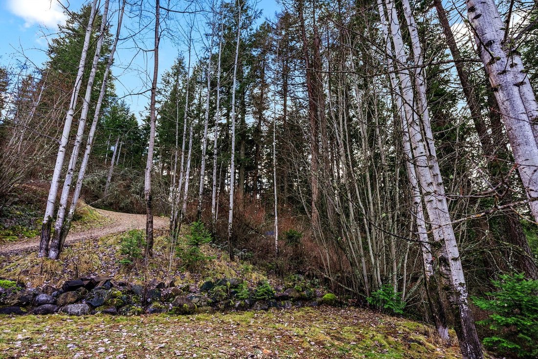 Vacant Waterfront Lot On Lake Coeur D'alene! In Harrison, Idaho, United