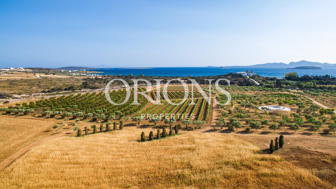 Land in Paros, Aegean, Greece 2 - 13843222
