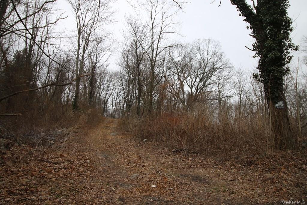 Land in Harrison, New York, United States 5 - 12993714