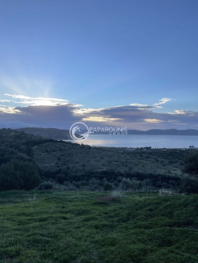 Land in Ermioni, Peloponnese, Western Greece and the Ionian, Greece 2 - 13899854
