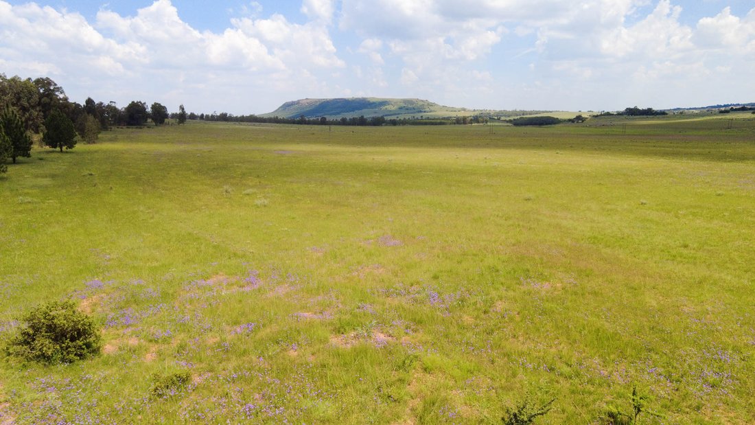 Land in Walkerville, Gauteng, South Africa 3 - 13908009