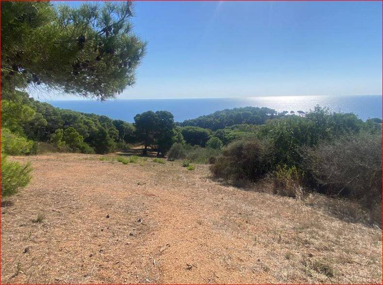 Land in Rio Marina, Tuscany, Italy 2 - 13899670