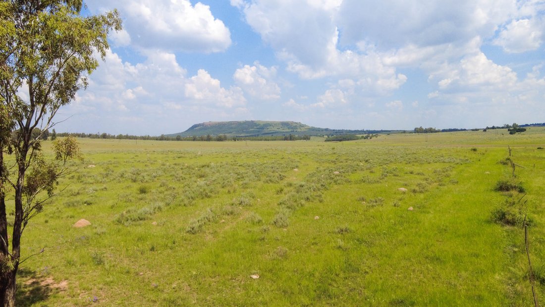 Land in Walkerville, Gauteng, South Africa 2 - 13908009