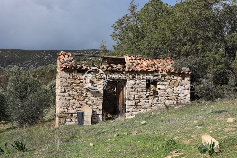Land in Ermioni, Peloponnese, Western Greece and the Ionian, Greece 3 - 13899854