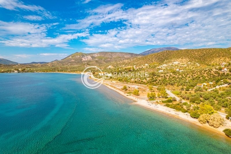 Land in Ermioni, Peloponnese, Western Greece and the Ionian, Greece 4 - 13899854