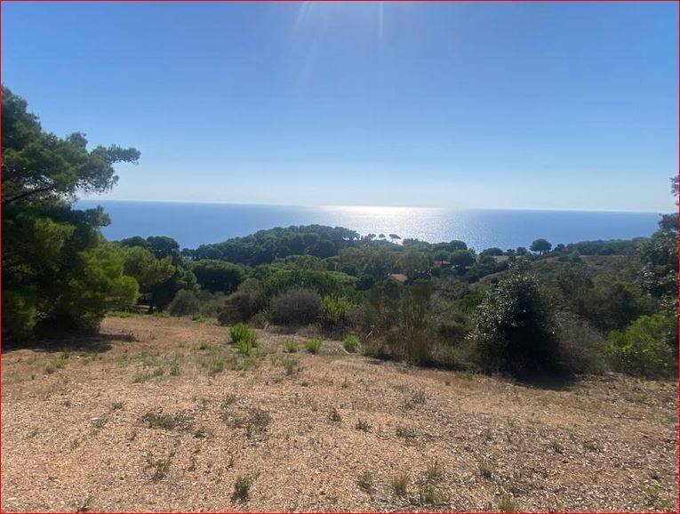 Land in Rio Marina, Tuscany, Italy 4 - 13899670