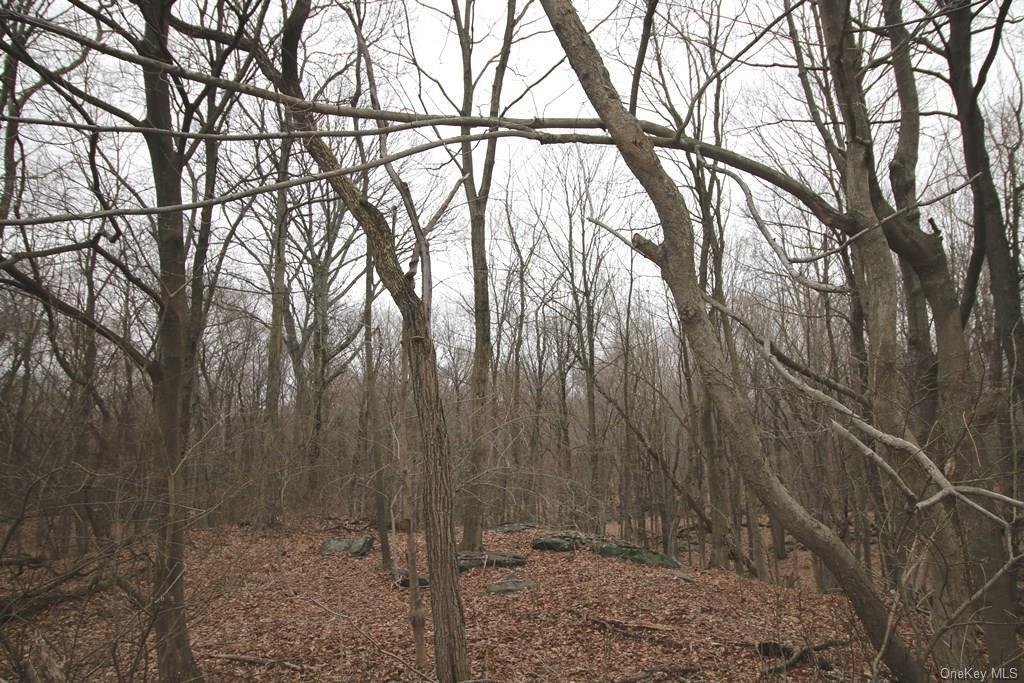Land in Harrison, New York, United States 2 - 12993714