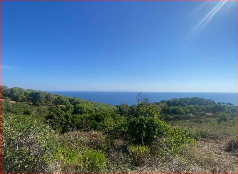 Land in Rio Marina, Tuscany, Italy 1 - 13899670