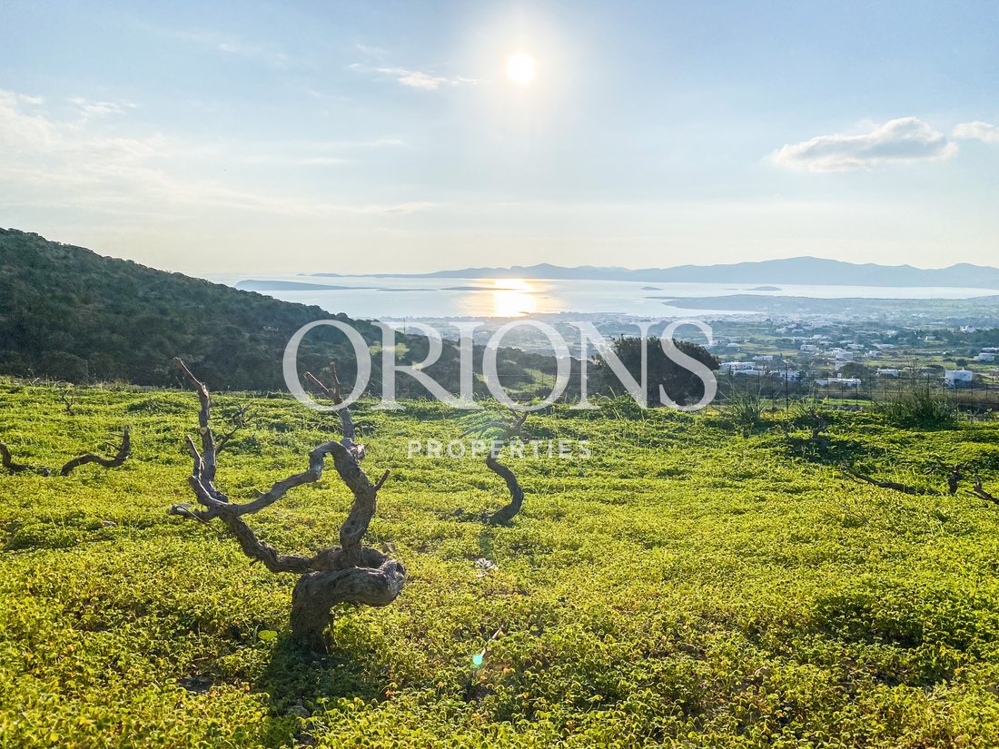 Land in Paros, Aegean, Greece 4 - 13866253