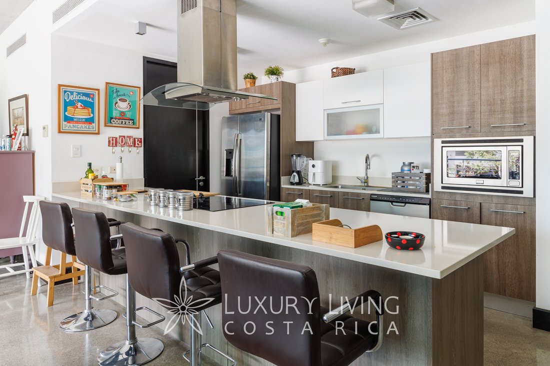Apartment in San Rafael de Escazú, San José Province, Costa Rica 2 - 13910714