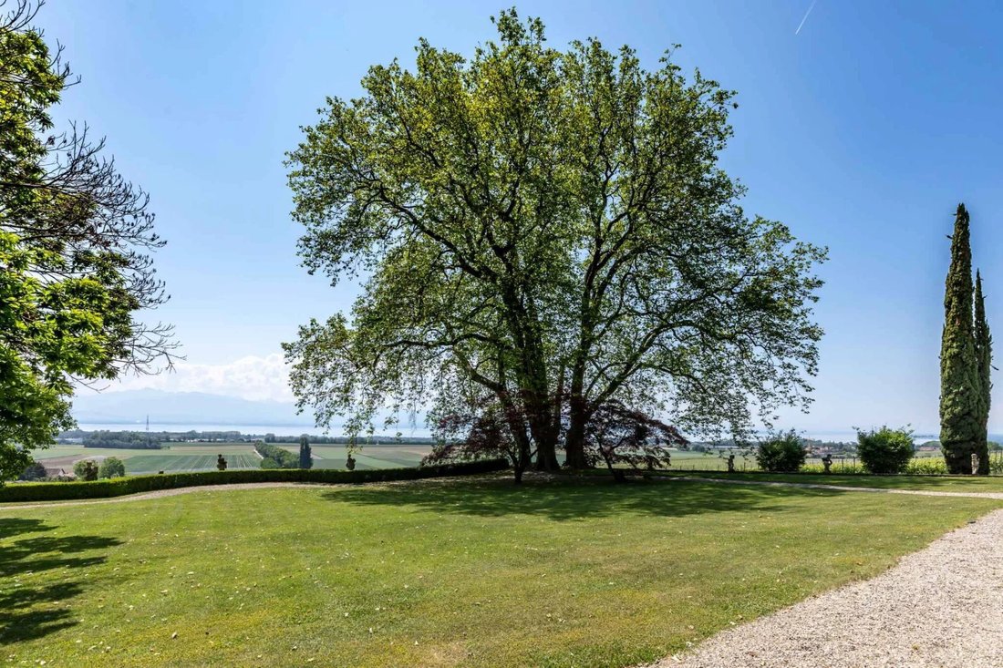 Exceptional And Rare Property For Sale In Rolle, Vaud, Switzerland For