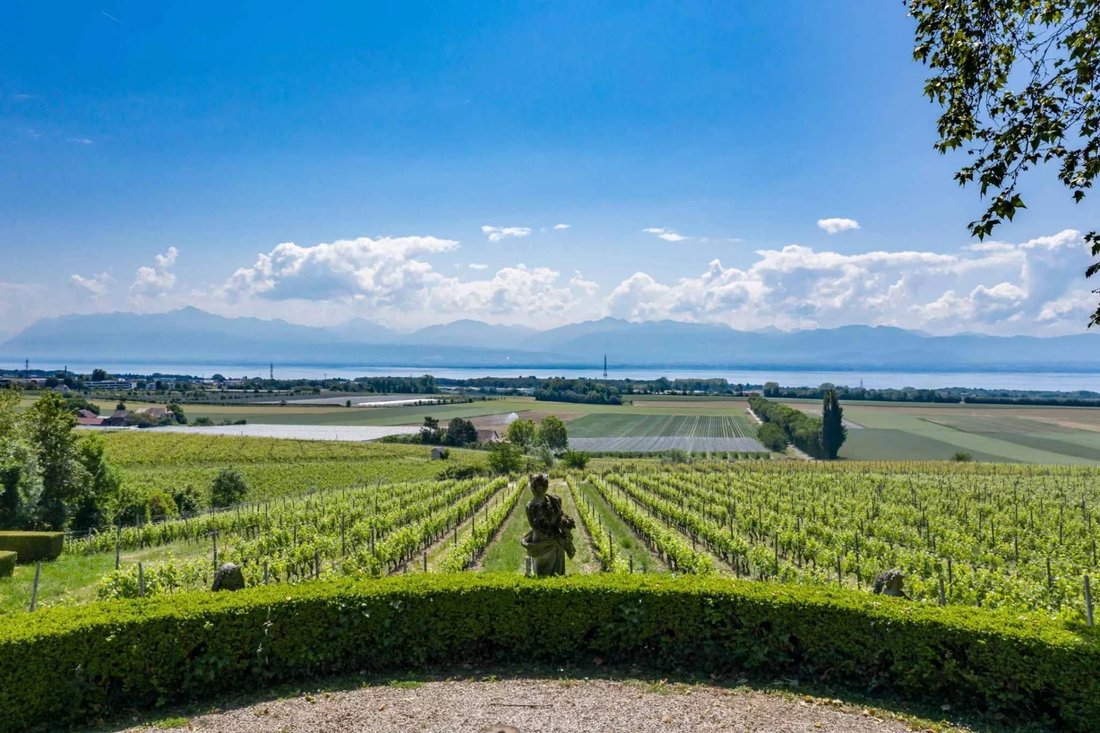 Exceptional And Rare Property For Sale In Rolle, Vaud, Switzerland For