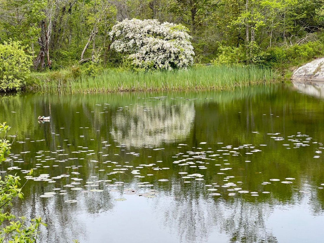 Hatch Cove Farm In Castine, Maine, United States For Sale (13918002)