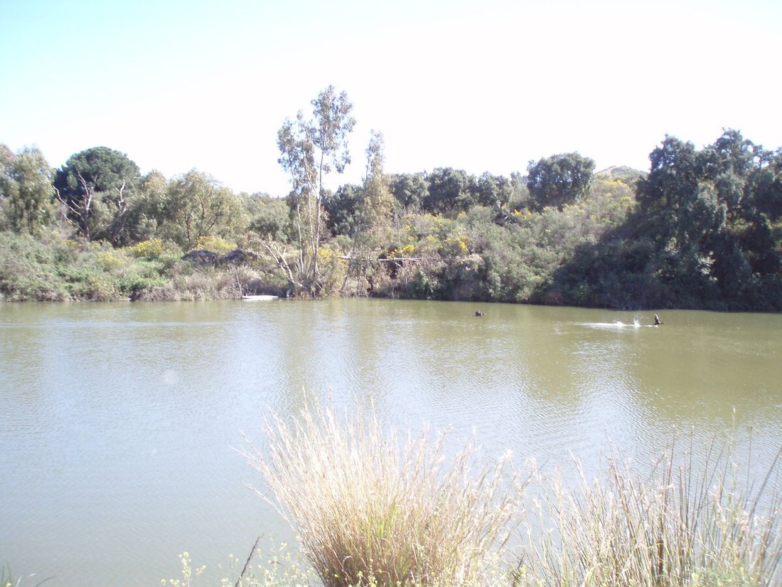 Land in Ojen, Andalusia, Spain 1 - 13920477
