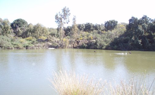 Land in Ojen, Andalusia, Spain 1