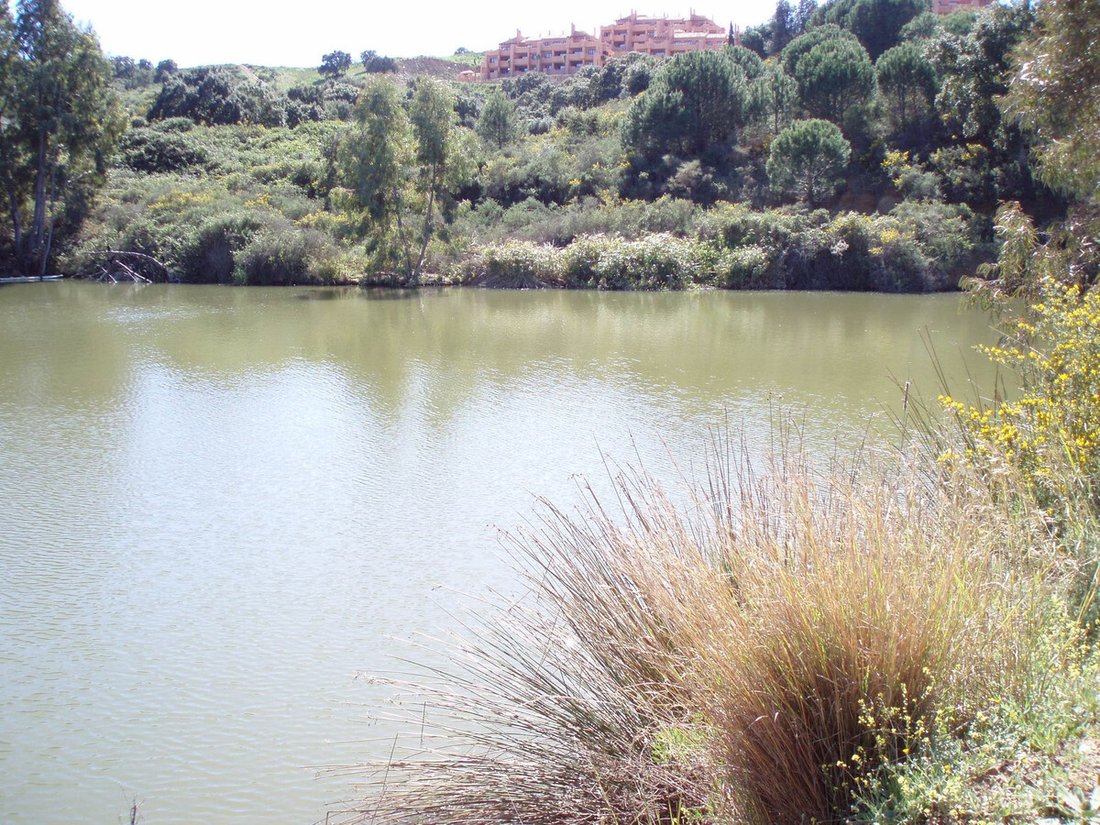 Land in Ojen, Andalusia, Spain 2 - 13920477
