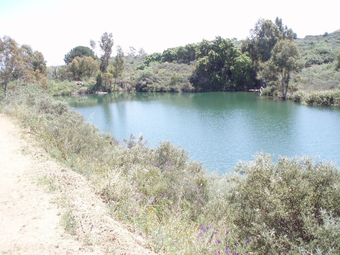 Land in Ojen, Andalusia, Spain 5 - 13920477