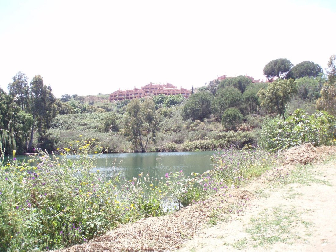 Land in Ojen, Andalusia, Spain 4 - 13920477