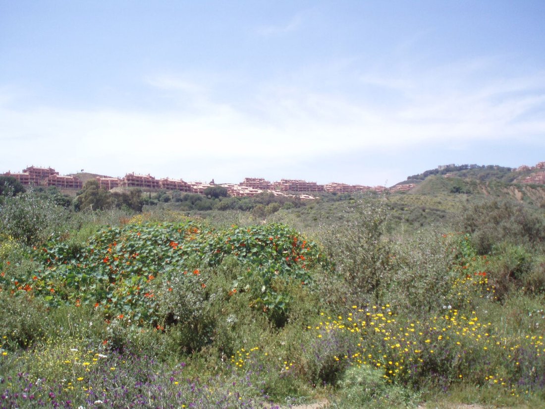 Land in Ojen, Andalusia, Spain 3 - 13920477