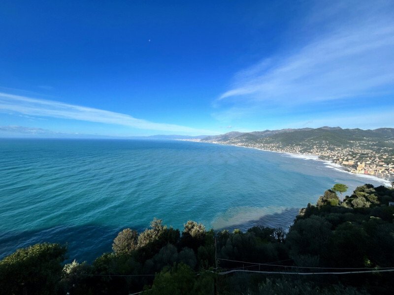 Appartement à San Rocco di Camogli, Ligurie, Italie 1 - 13923785