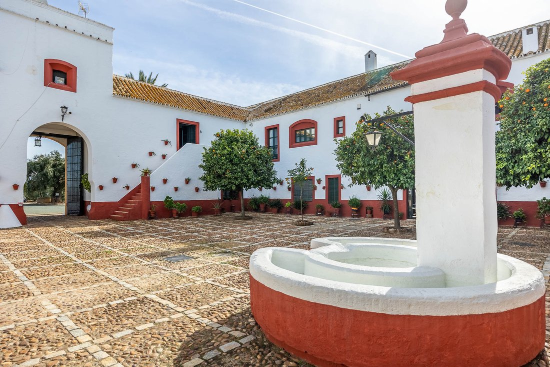 Finca in Carmona, Andalusia, Spain 2 - 13924533