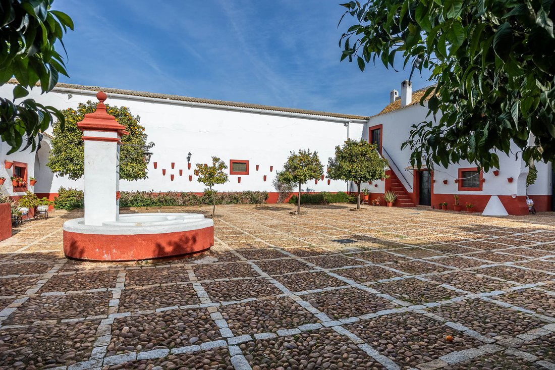 Finca in Carmona, Andalusia, Spain 3 - 13924533