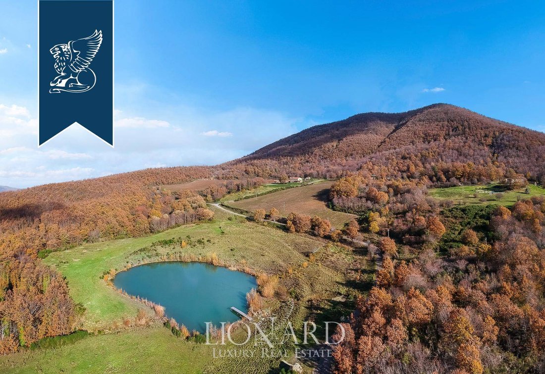 A Tuscan Kingdom: Medieval Castle, Vineyards & Wild Forests Near Siena - 5