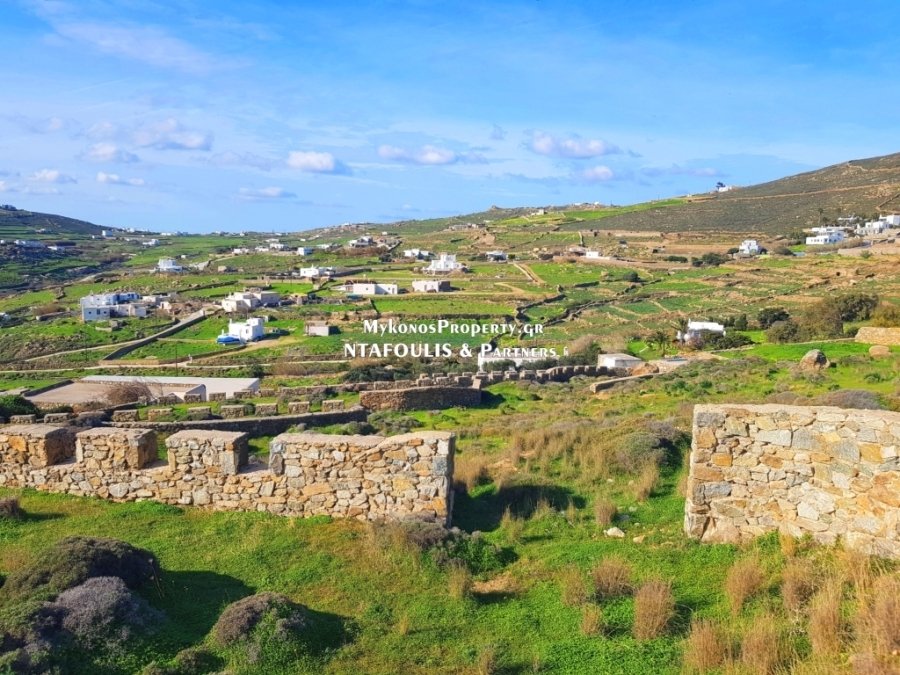 Mykonos, Aegean, Greece 3 - 13927821