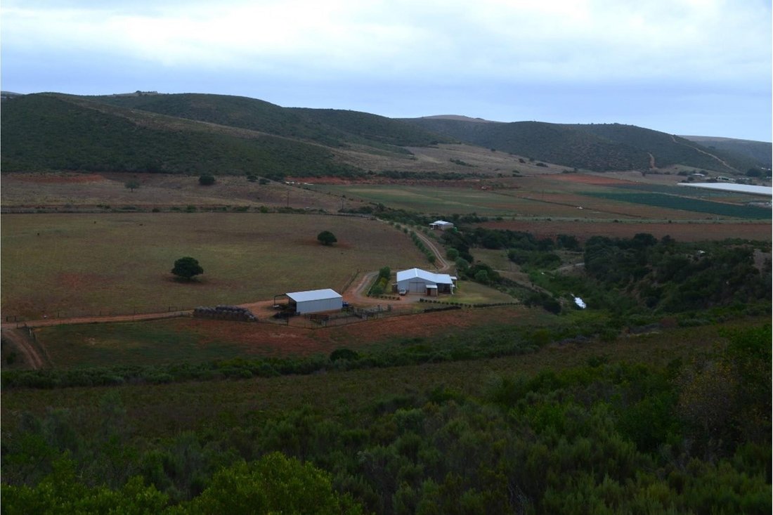 Beautiful Farm Next To Jakkalsvlei In Albertinia, Western Cape, South