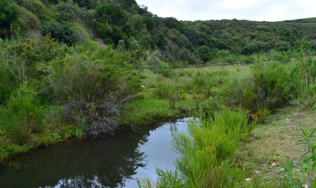 Beautiful Farm Next To Jakkalsvlei In Albertinia, Western Cape, South